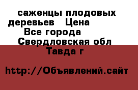 саженцы плодовых деревьев › Цена ­ 6 080 - Все города  »    . Свердловская обл.,Тавда г.